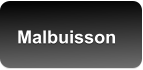 Malbuisson