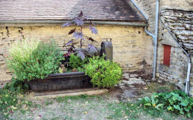 Châteauneuf en Auxois : Fontaine Abreuvoir fleuri