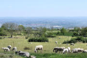 Sur le plateau de Georgovie : maintenant peuplé de moutons