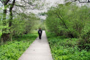 Lac Chambon : promenade le long des rives