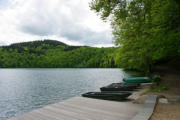 Lac Pavin : rive du lac