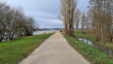 Vesoul -le lac -Chemin de randonnée