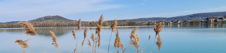 Vesoul -le lac -Vue générale du lac