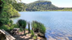 Lac de Bonlieu : rivage, roseaux, banc 