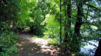 Lac de Bonlieu : chemin de promenade autour du lac