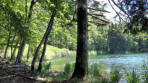 Lac de Bonlieu : chemin, arbres en bordure de rives