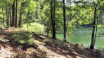 Lac de Bonlieu : bords ombragés du lac