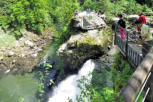 Saut du Doubs : haut de la cascade ( le saut )