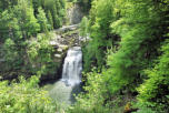 Saut du Doubs : le saut du Doubs dans la verdure