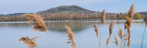 Vue générale du lac