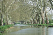 Dole : canal avec arbres faisant comme une haie d'honneur