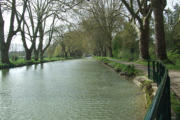 Dole : le canal bordé d'arbres