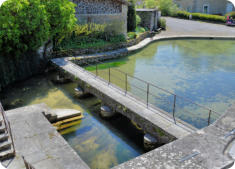 Fondremand : bassin source de la Romaine