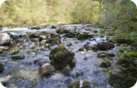 L'ain faisant son chemin parmi les rochers