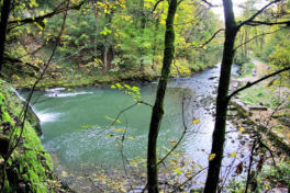 Source du Lison : la rivière Lison