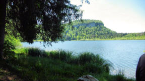 Lac de Bonlieu :  rives à l'ombre des arbres et lac