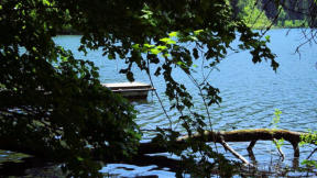 Lac de Bonlieu : feuillage et embarcadaire