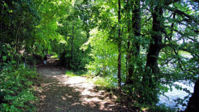 Lac de Bonlieu : chemin de promenade autour du lac