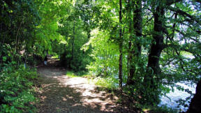 Lac de Bonlieu : chemin de promenade autour du lac