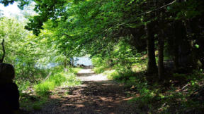 Lac de Bonlieu : chemin de randonnée le long du lac