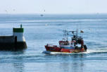 Guilvinec-rentrée des pêcheurs au port