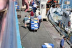 Guilvinec-le port de pêche- chariots de crevettes pour la criée