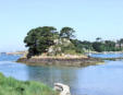 Ile de Bréhat - ilot rocheux boisé entouré d'eau