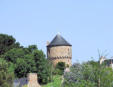 Ile de Bréhat - la tour dans la verdure