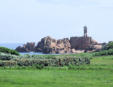 Ile de Bréhat - une partie de la lande vers le phare