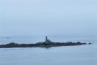 Bretagne-Porsall-îlot et phare 1