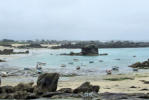 Bretagne-Meneham-hameau de Kerlouan-bateaux à marée basse au milieu de rochers