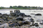 Bretagne-Plouguerneau-rochers découverts par la marée basse