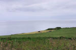 Bretagne-Trédez locquémeau-paysage champêtre au dessus de la baie