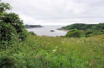 Bretagne-Le Yaudet-verdure entourant la baie