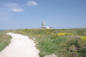 Bretagne-Pointe du Raz-chemin côtier du phare au milieu de la lande