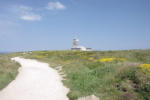 Bretagne-Pointe du Raz-chemin côtier du phare au milieu de la lande