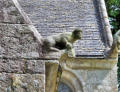 Berven : gargouille lion de l'église