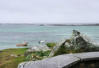 Bretagne-Plouguerneau-chemin côtieravec vue dur l'océan