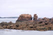 Bretagne-Trégastel-îlot en bord d'océan