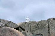 Bretagne-Trégastel-l'aquarium marin avec sculpture neptune