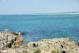 Ploemeur-Pointe de la torche-rochers et pêcheur