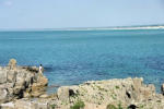 Ploemeur-Pointe de la torche-rochers et pêcheur