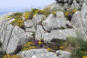 Bretagne-Pointe du Van-les rochers et la flore