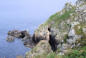 Bretagne-Pointe du Van-rochers plongeant dans l'océan