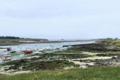 Bretagne-Lampaul Plouarzel-bateaux de pêche et plaisance-marée basse