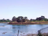 Ile de Bréhat - paysage boisé et chenal 