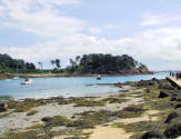 Ile de Bréhat - paysage derrière les quais 