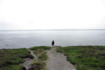 Bretagne-cap de la chèvre-façe à l'océan