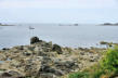 Bretagne-Lampaul Plouarzel-paysage de pierres sur le littoral