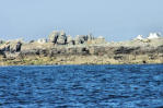 Ile de Sein-littoral et ses rochers